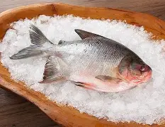 Banda de Tambaqui Premium (O Rei do Churrasco, do Forno e das Grandes Reuniões) - Imagem 3